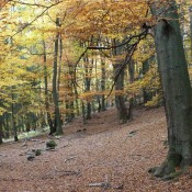 Herfst in Gevelinghausen