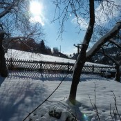 Winterzonnetje in achtertuin